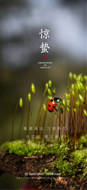 惊蛰