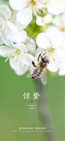 惊蛰