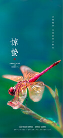 惊蛰