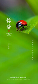 惊蛰