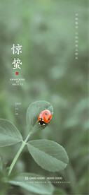 惊蛰