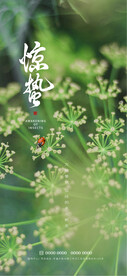 惊蛰