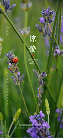 惊蛰
