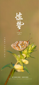 惊蛰