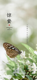 惊蛰