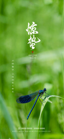 惊蛰