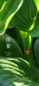 惊蛰