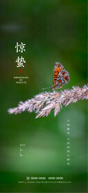 惊蛰