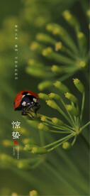 惊蛰