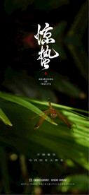 惊蛰