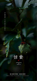 惊蛰