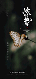 惊蛰