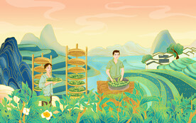 制茶