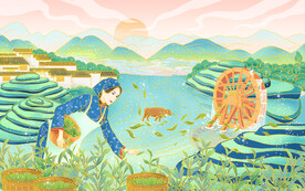 采茶