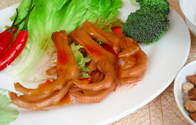 鸭掌