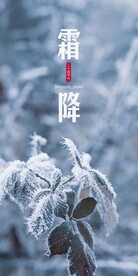 霜降
