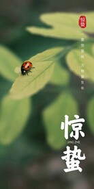 惊蛰