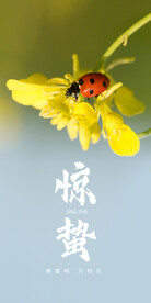 惊蛰