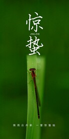 惊蛰