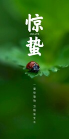 惊蛰