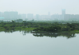风景  