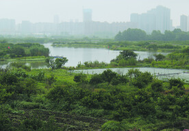 风景