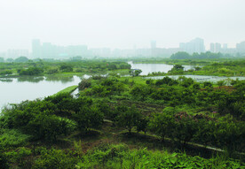 风景  