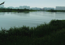 风景