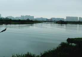 风景  