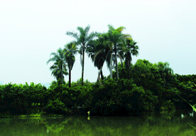 风景  