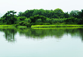 风景  