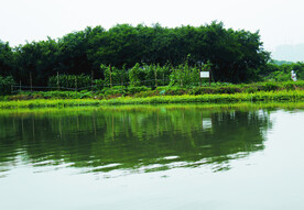 风景 