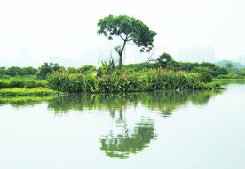 风景 