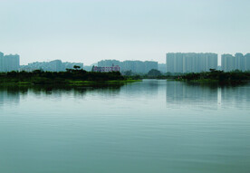 风景  