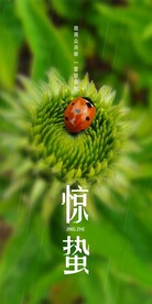 惊蛰