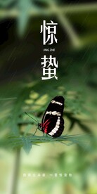 惊蛰