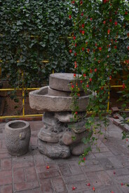 温室花草风景