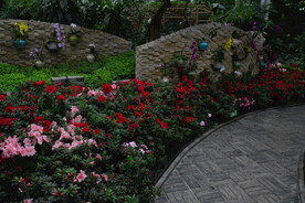 温室花草风景