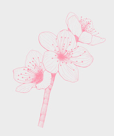 线条桃花