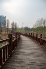 公园风景
