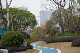 公园风景