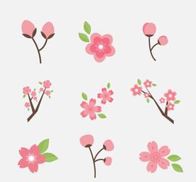 樱花插画