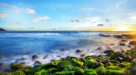 大海