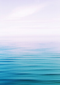 大海