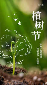 植树节