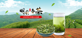 明前春茶