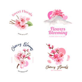 水彩樱花素材