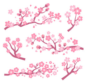 樱花素材