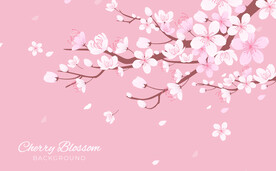 樱花素材