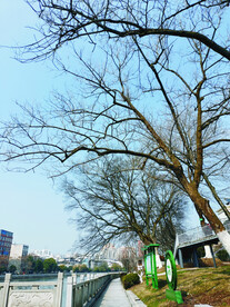 公园河堤
